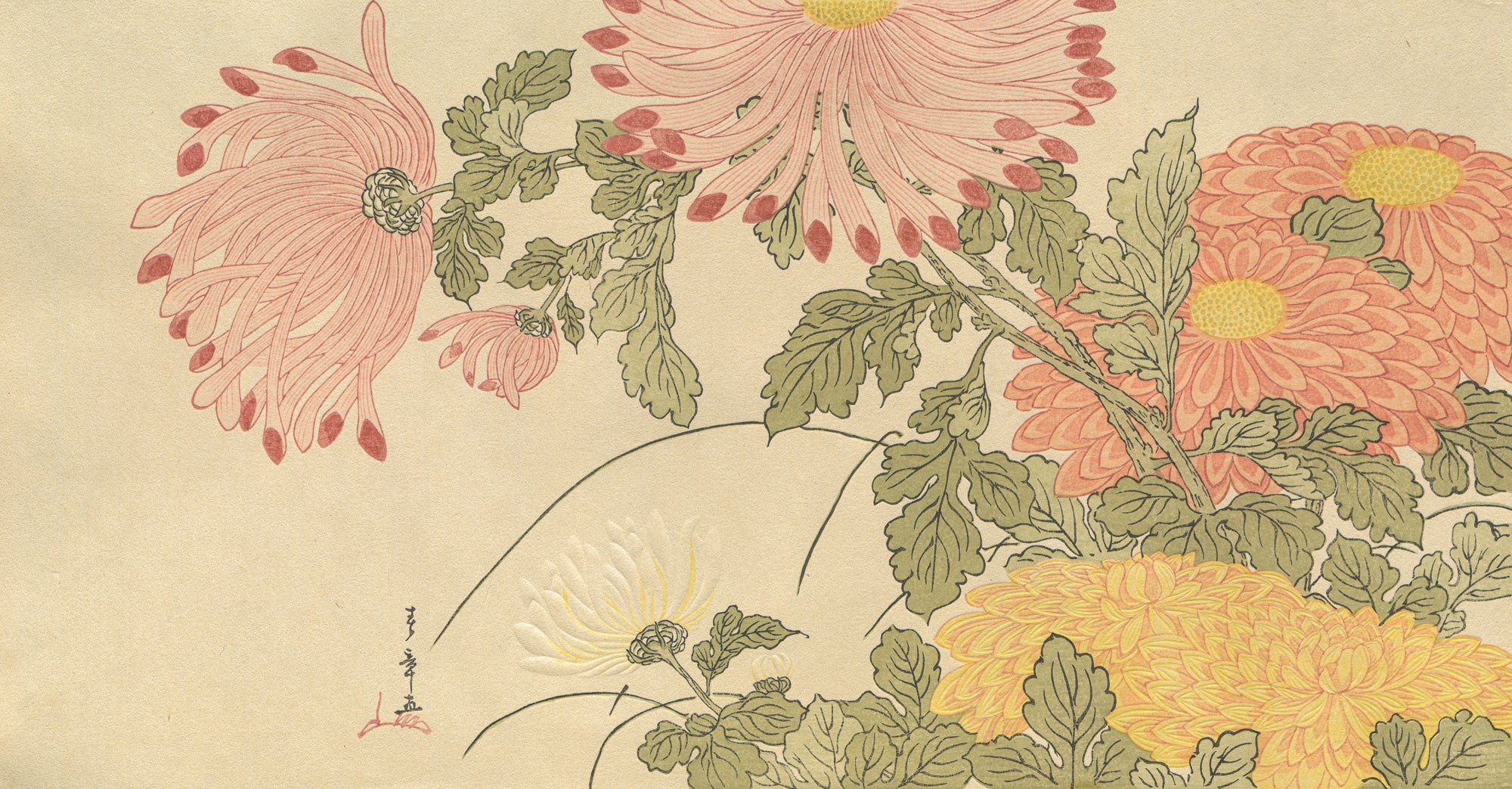 Katsukawa Shunsho（勝川春章） 勝川春章「乱菊」｜オンラインストア