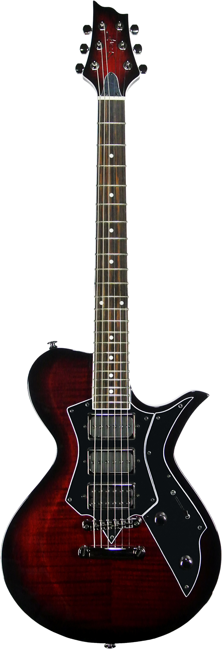 SPEAR GUITAR｜スピアギター|Tomcat Gothic Edition （トムキャット