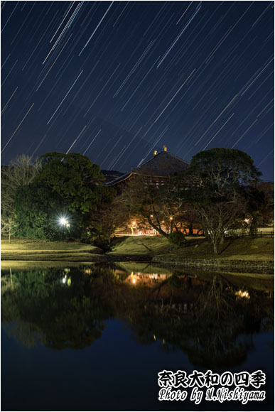奈良大和の四季 2024年2月新作
