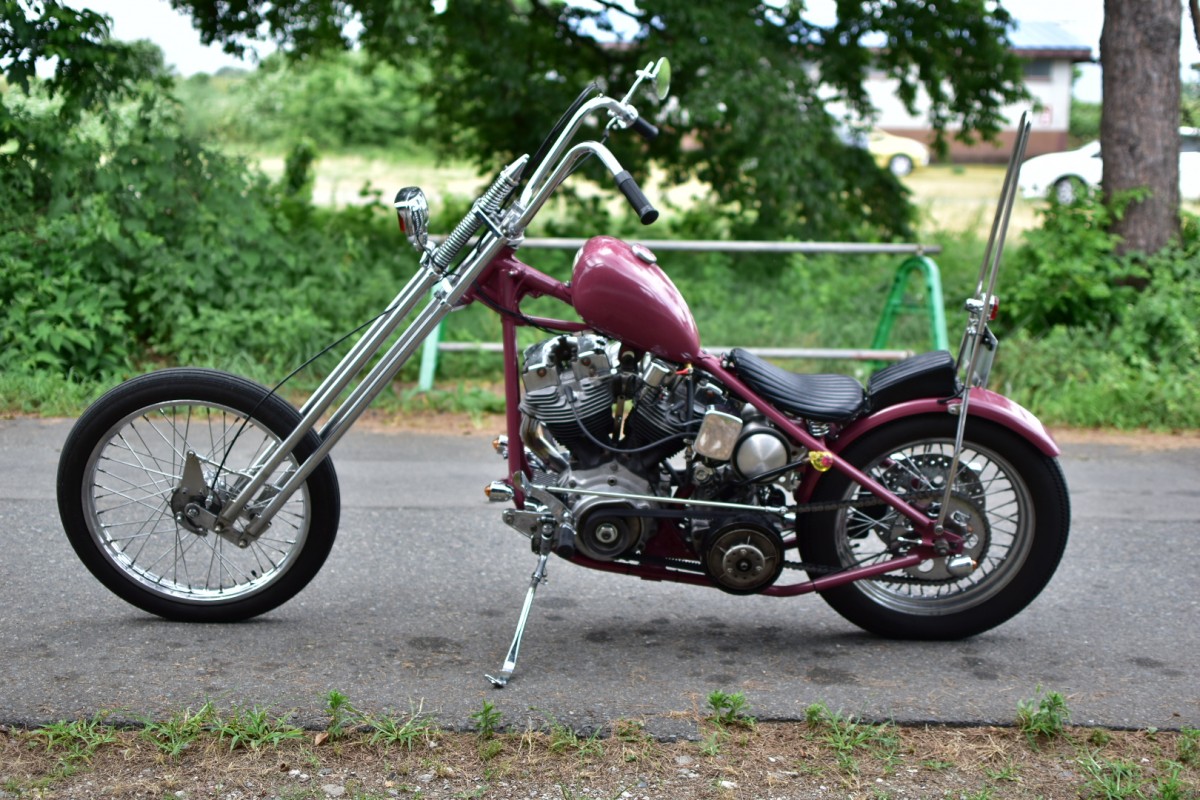 カスタム | RODSTAR（ロッドスター）