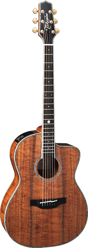 Takamine Guitar -60th Anniversary-