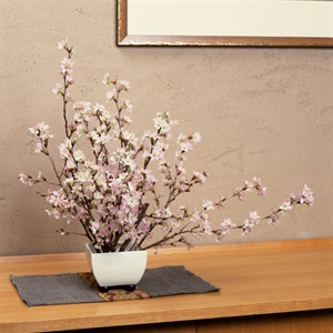みちのく初桜（啓翁桜） 約70cm×5本 2月下旬発送開始 | 全農食品