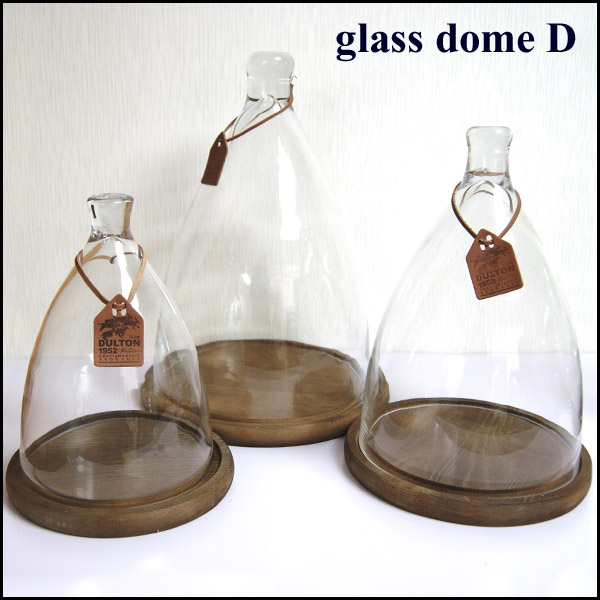 ガラスドーム ガラスケース コレクションケース ドームガラス