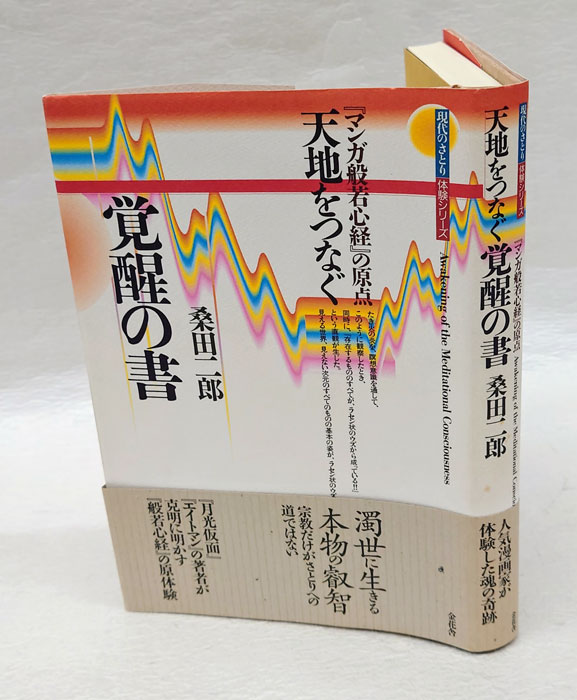 天地をつなぐ覚醒の書 『マンガ般若心経』の原点(桑田二郎) / 岩森書店