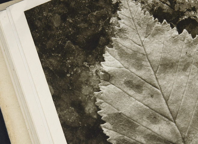 Josef Sudek Fotografie｜恵文社一乗寺店 オンラインショップ