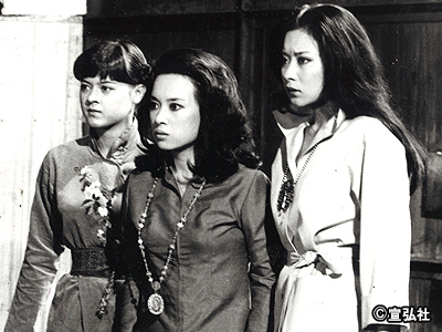 コードナンバー108 7人のリブ | 宣弘社