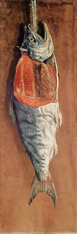 鮭ミラーボール』の元ネタ・モデルを解説 – 幸円のアトリエ/初心者から