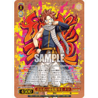 SSP 滾る炎の滅竜魔導士 ナツ 箔押し ヴァイスシュヴァルツ フェアリー