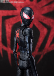 スパイダーマン（マイルス・モラレス）（スパイダーマン:アクロス・ザ