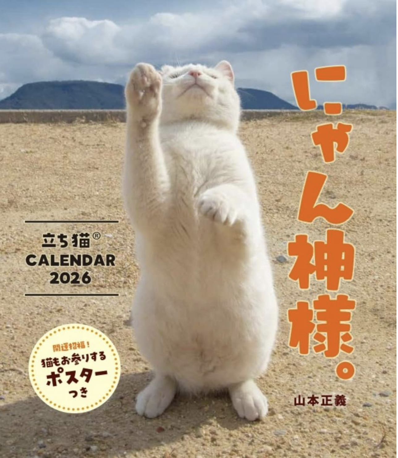 山*猫様 ともだち と思われるブロンズ 山*猫様 ともだち と思われる