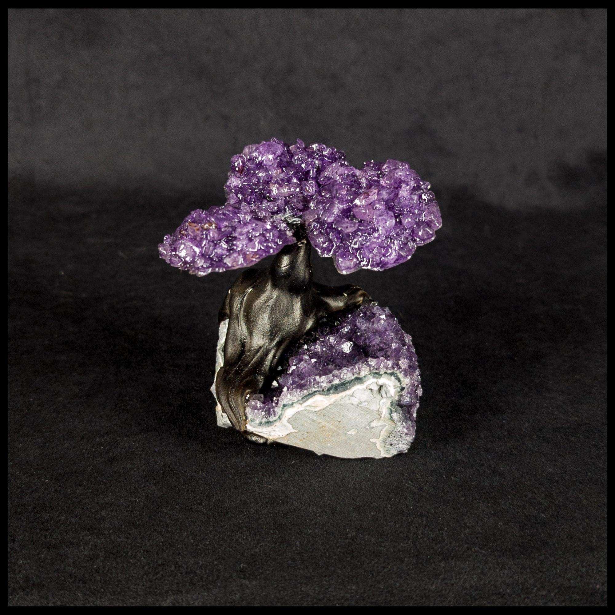 GSTsz1 Gemstone Tree - Amethyst| The Gem Shop, Inc.