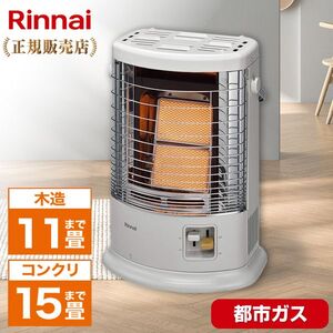 Rinnai RGH-D20K [タイマー付器具専用ガスコード (長さ2m / 都市ガス