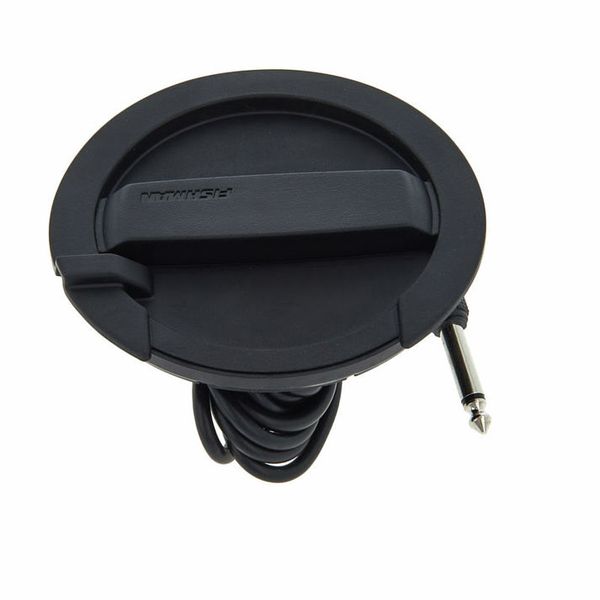 Fishman Neo Buster Humbucker – United States