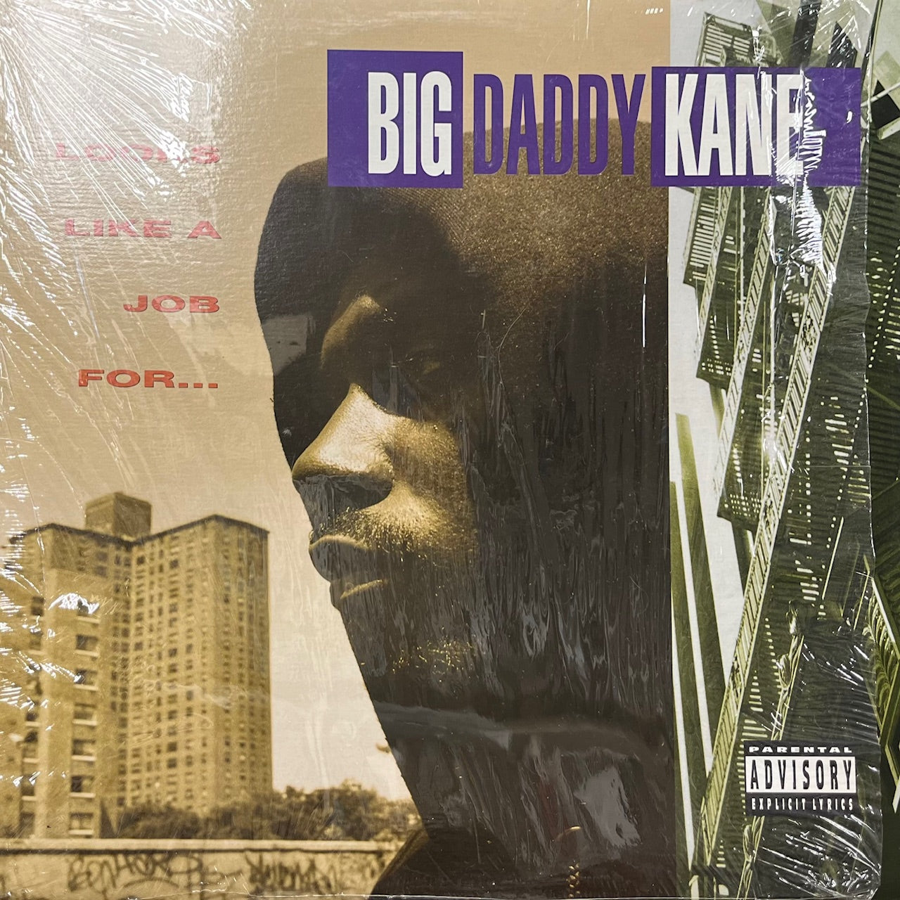 IMG_0901_1280x.jpg?v=1722246733