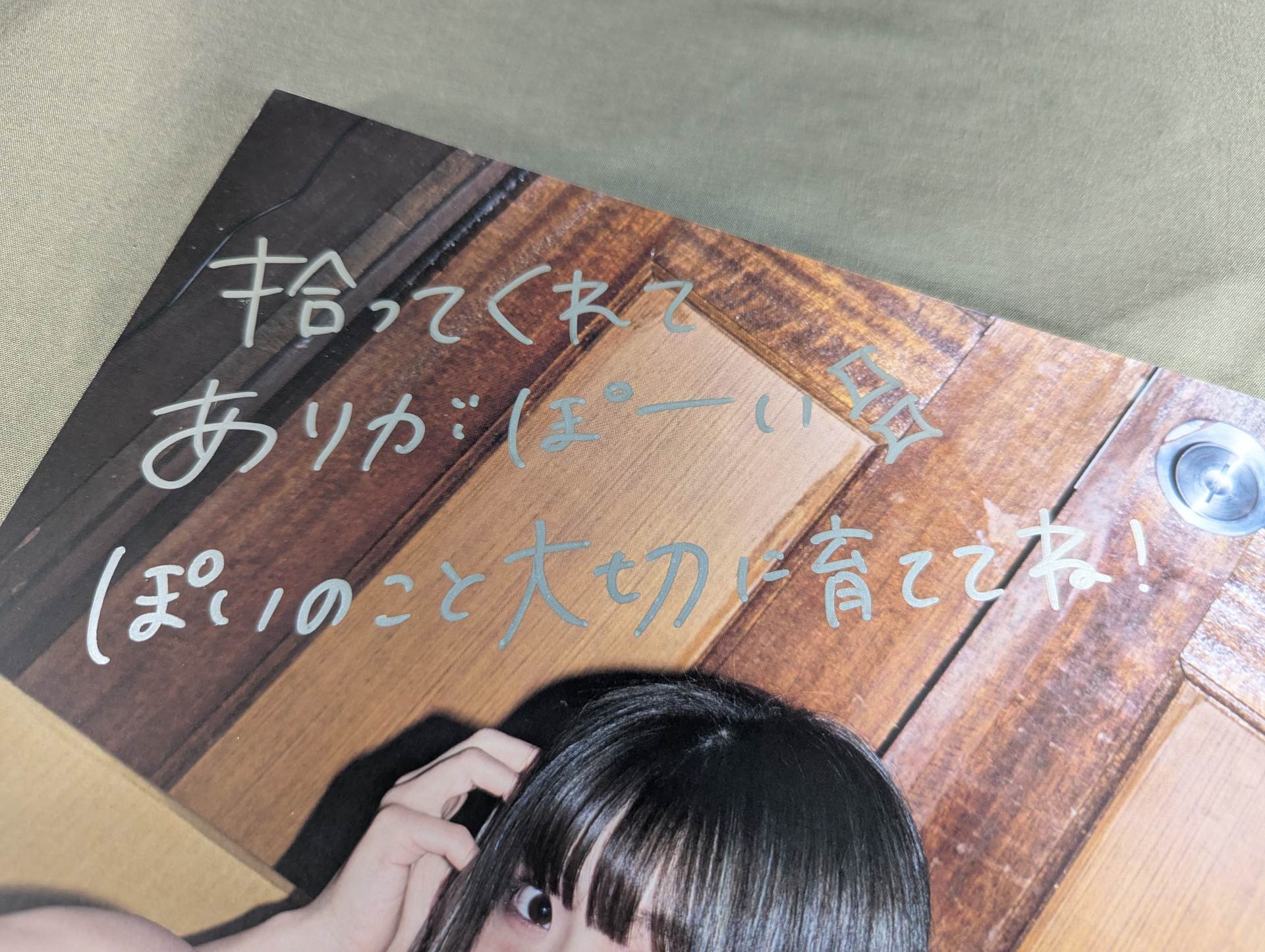 直筆サイン入り】なつぽい 写真集 ぽい拾い。 – 闘道館