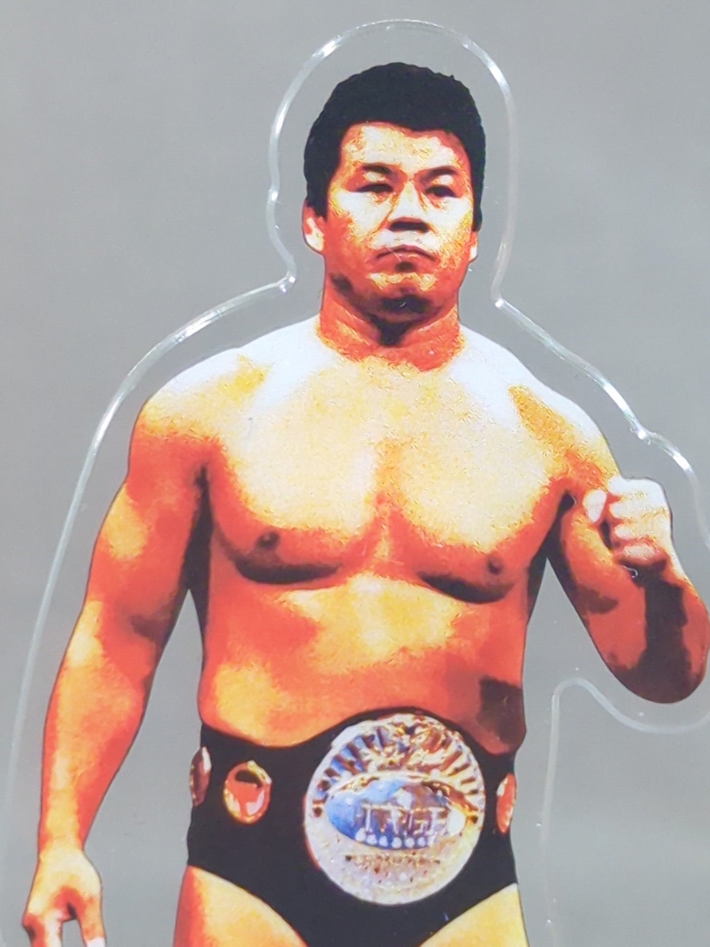 藤波辰爾 新日本プロレス50周年 レジェンドアクリルスタンド(A) – 闘道館