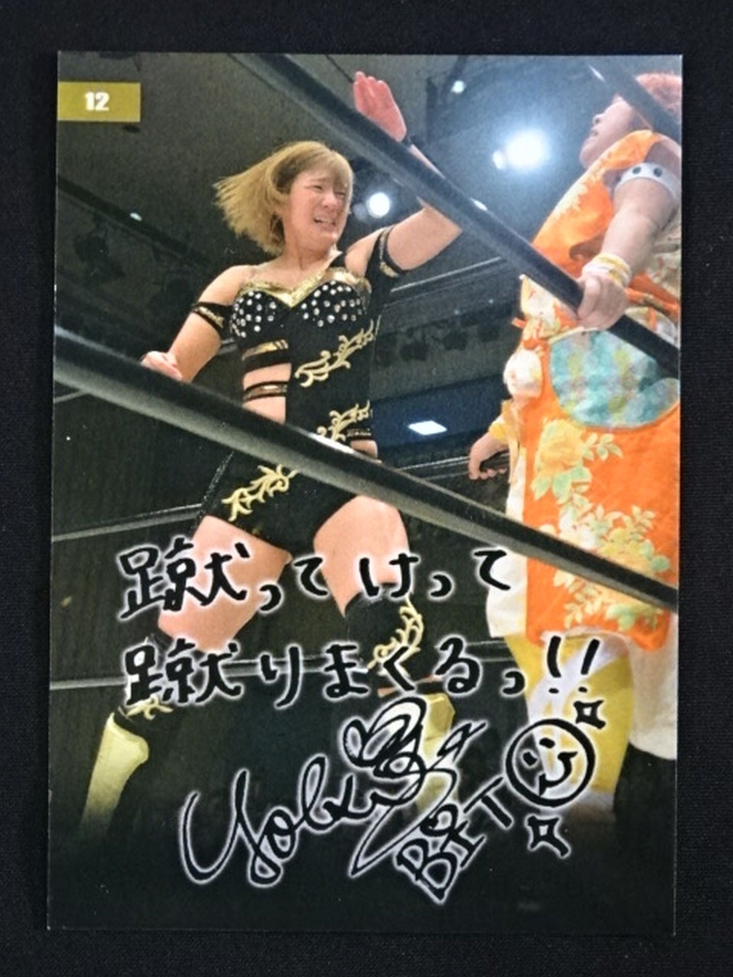 2017 STARDOM COLLECTION CARD 美闘陽子 公式サインカード② – 闘道館