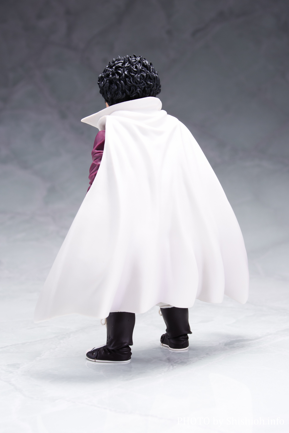 レビュー】 S.H.Figuarts ミスターサタン