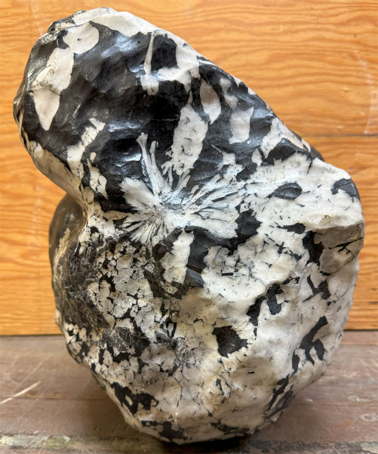 楽天市場】菊花石 【52】高さ約32cm 幅約22cm 送料無料 鑑賞石 景石