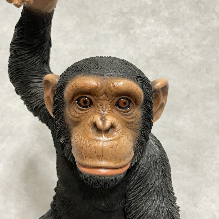 楽天市場】置物 手を上げるチンパンジー 高さ43cm woobia ウービア