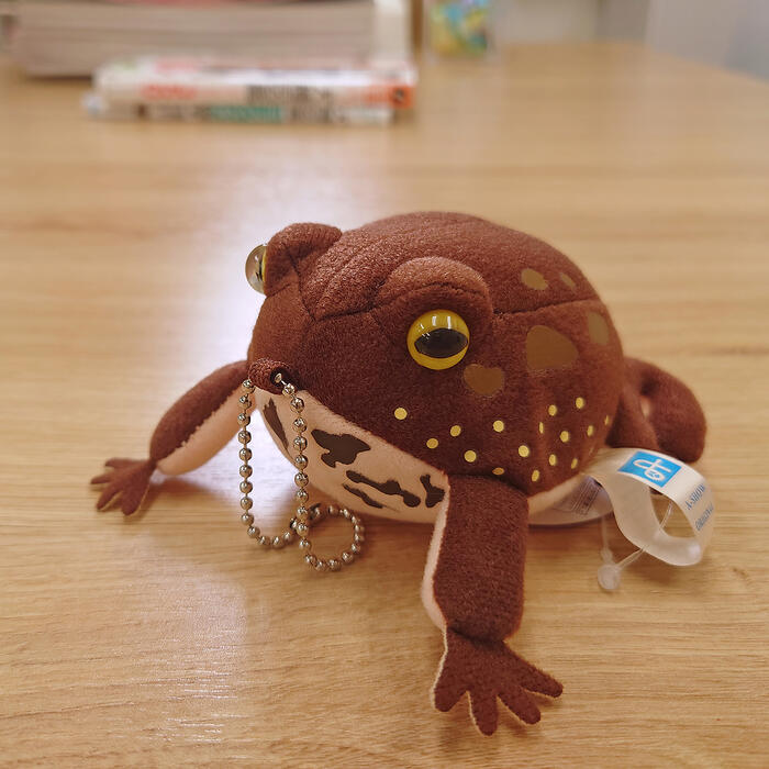 楽天市場】【TST アメフクラガエル キーホルダー】蛙 かえる カエル