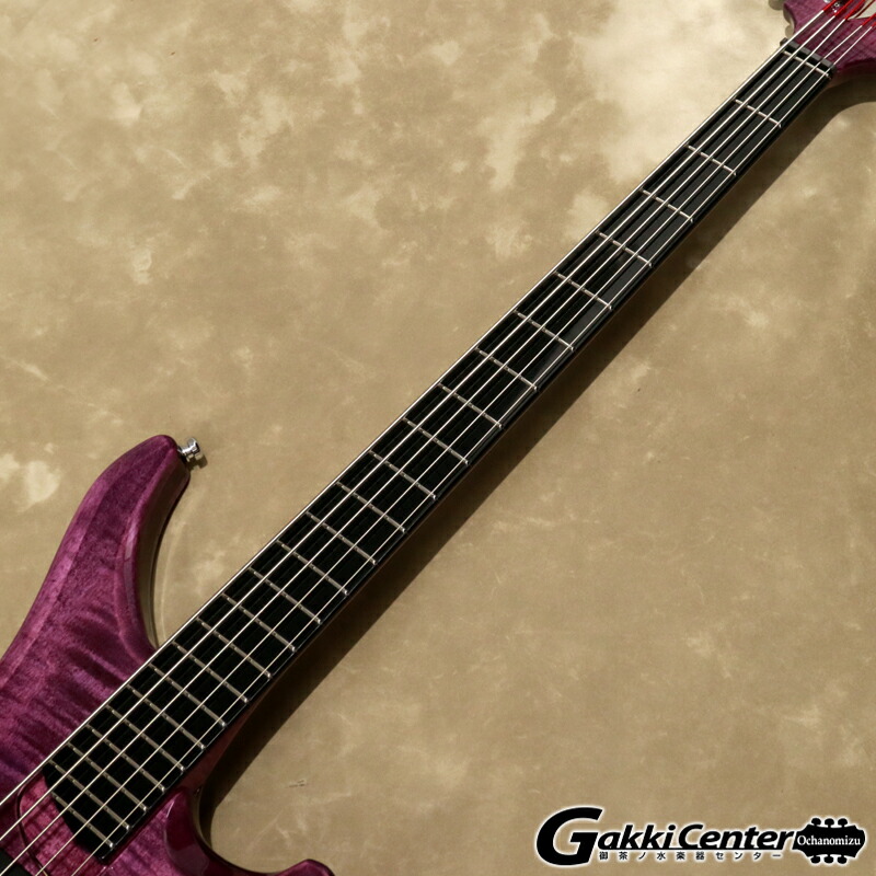 楽天市場】Vigier Arpege 5 strings, V5ECC, Amethyst Purple