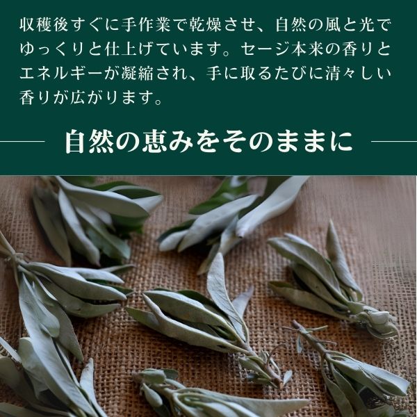 楽天市場】ホワイトセージ 浄化 オーガニック セージ スティック