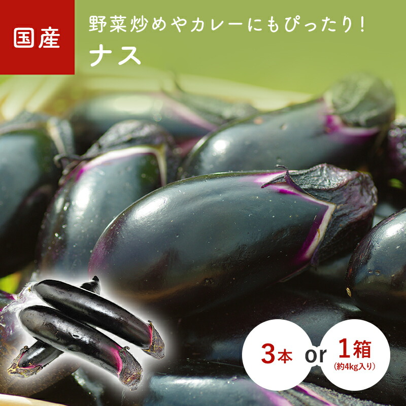 楽天市場】なすび（茄子） 3本 1箱(約4kg） 国産 福岡・熊本・九州産