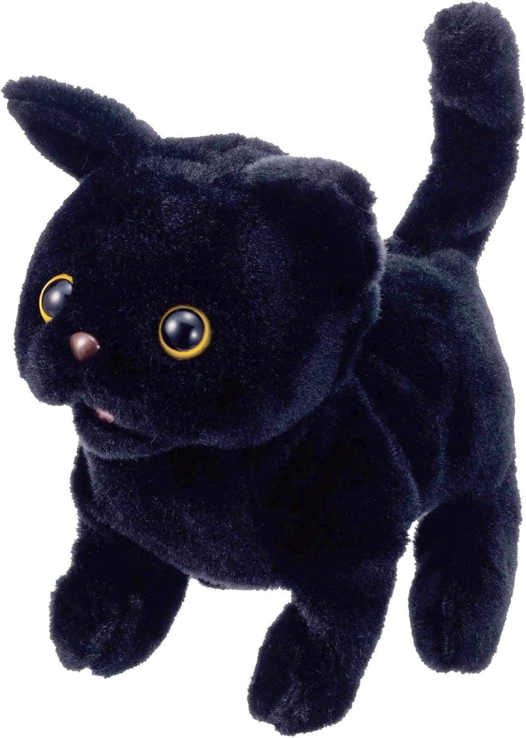 楽天市場】【3/5 最大100％ポイントバック＆ポイントアップ】イワヤ