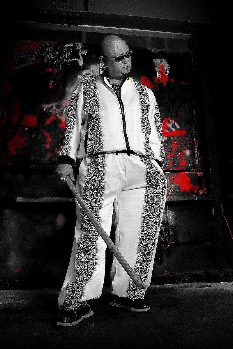 楽天市場】ヘビ柄 長袖 セットアップ ジャージ DIAMOND JAPAN DJ-119