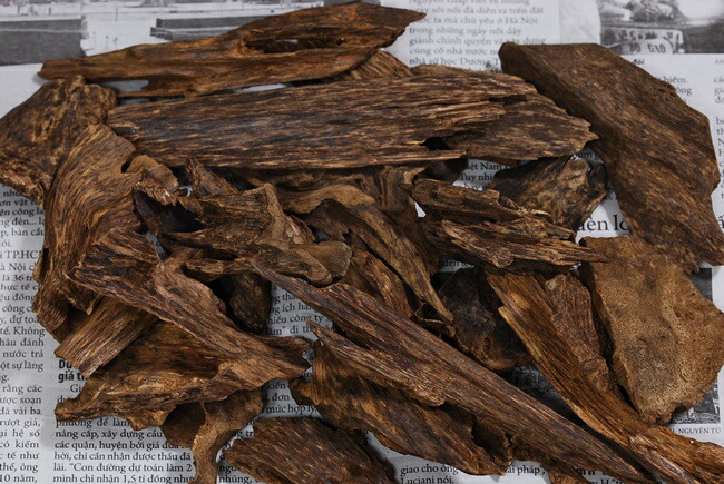 楽天市場】天然沈香【高ランク甘味 10g】量り売り 沈水香木 香木 沈香