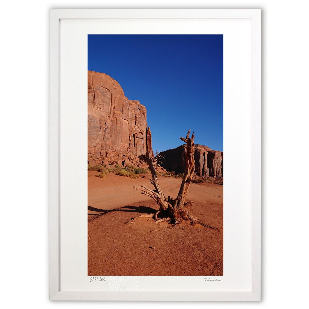 楽天市場】モニュメントバレーの通販