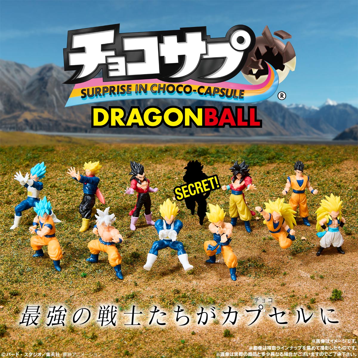 楽天市場】【4月発売予定】 チョコサプ ドラゴンボール2 【全12種
