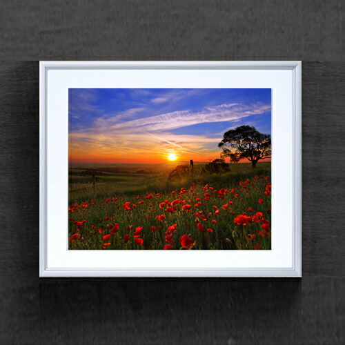 絵画 風景 夕焼け」の人気商品一覧 | 安い商品を通販サイトから探す