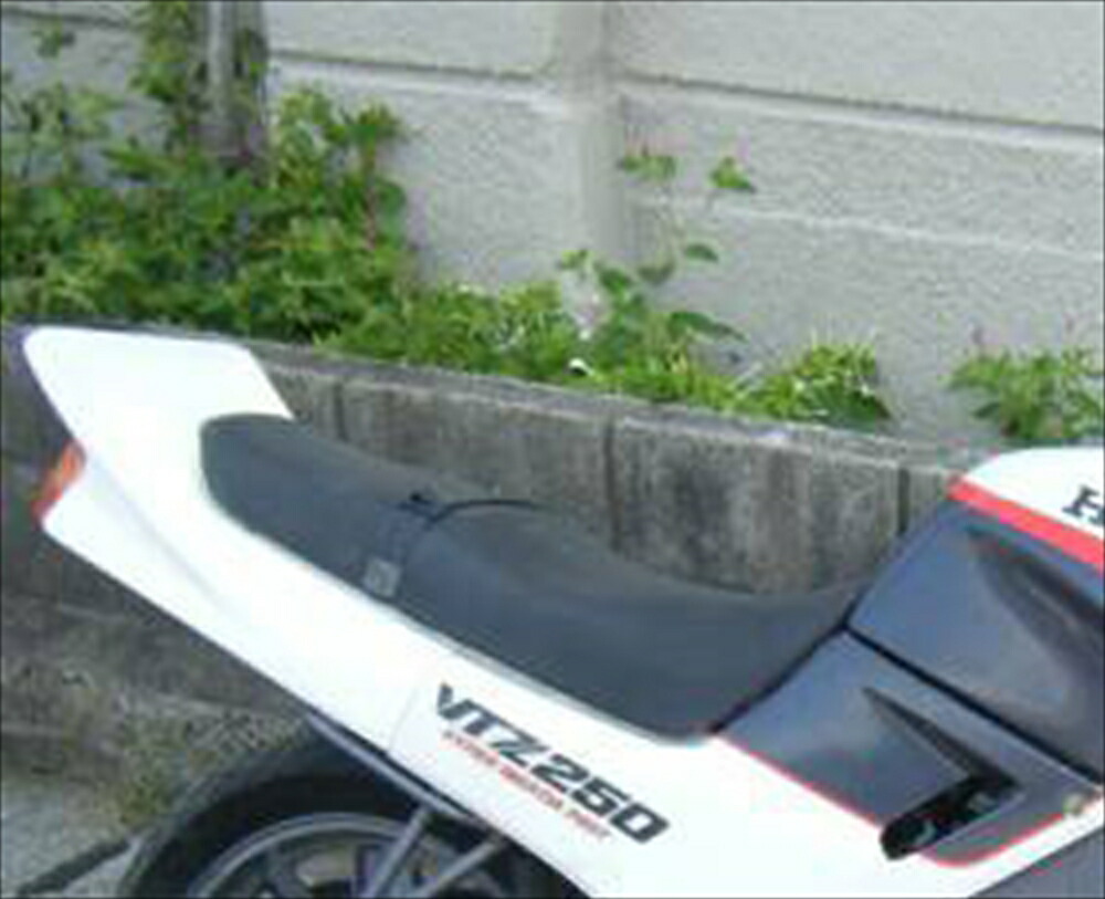 VTZ250 羽テール ハネテール G-STYLE VTZ250 羽テール ハネテール G