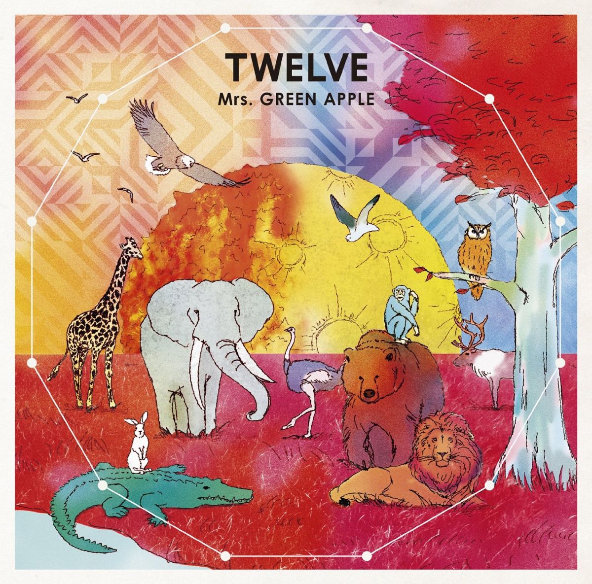 楽天市場】mrs．green apple twelve 初回限定盤（CD・DVD）の通販