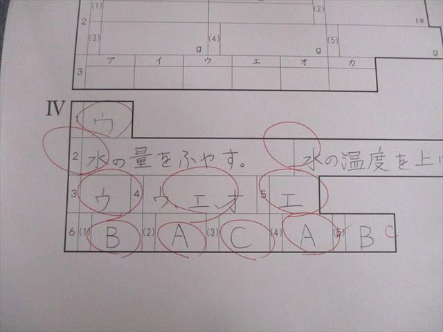 令和8年NN桜蔭正月特訓 算数4理科4国語2 合計10セット NN 令和8年