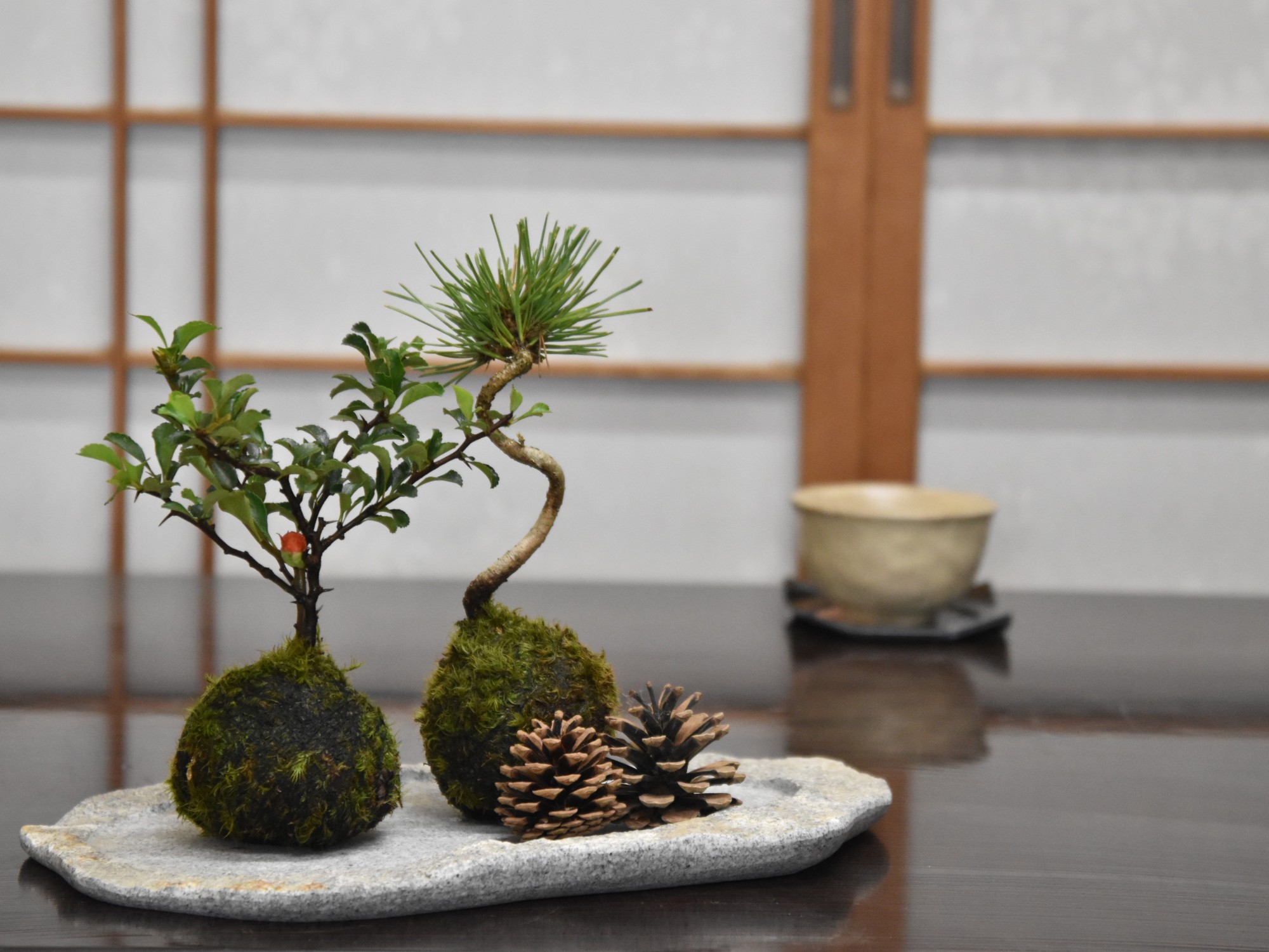 祥石 楕円 浅め 盆栽鉢 祥石 楕円 浅め 盆栽鉢 祥石 楕円 浅め 盆栽鉢