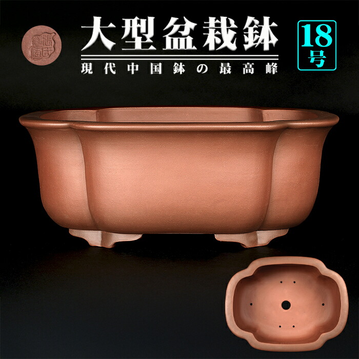 楽天市場】紫泥 鉢の通販