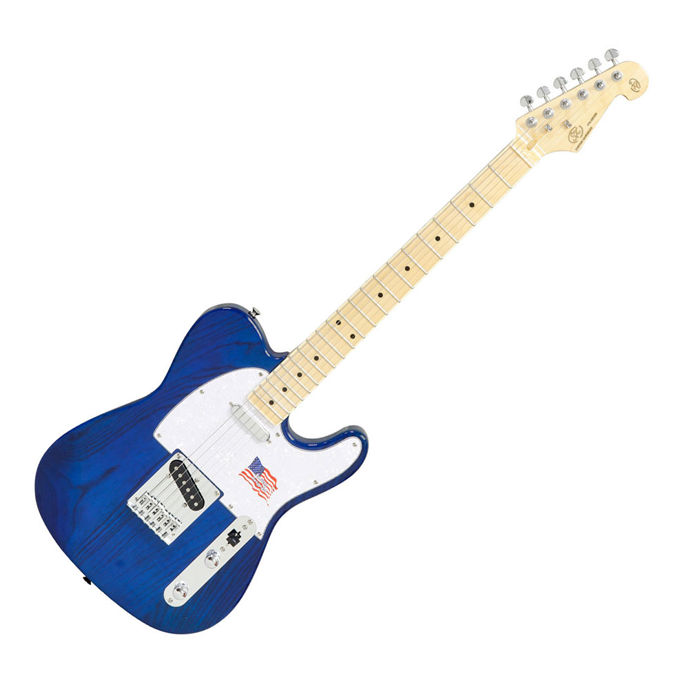 楽天市場】sx ラップ スチール ギター lg2の通販