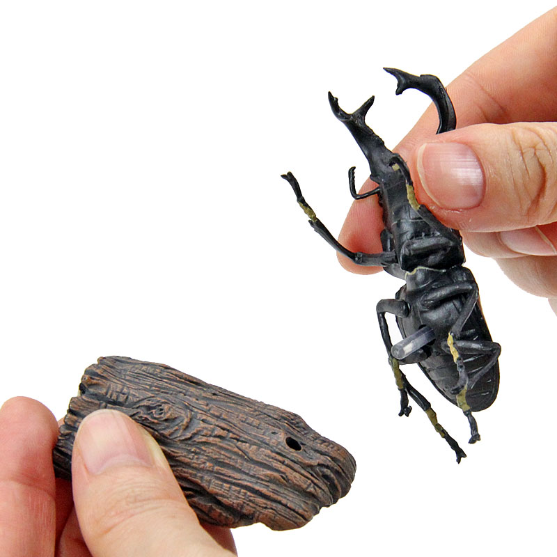 楽天市場】昆虫 リアル フィギュア 立体図鑑スタッグビートルボックス