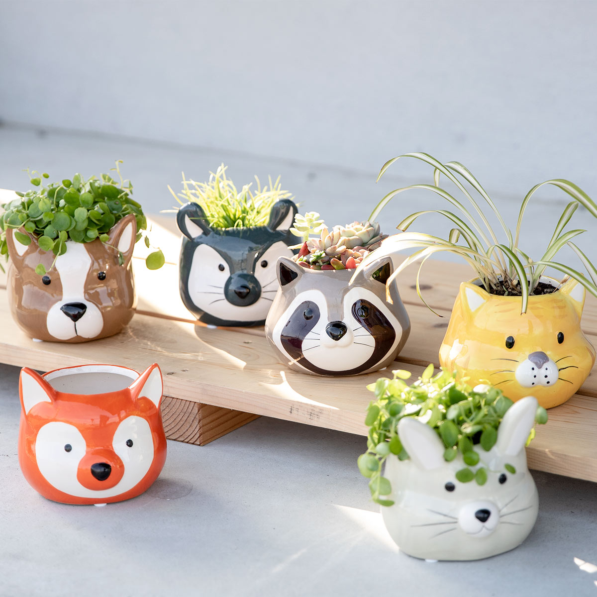 楽天市場】プランター アニマル ポット （ 植木鉢 プラントポット 陶器
