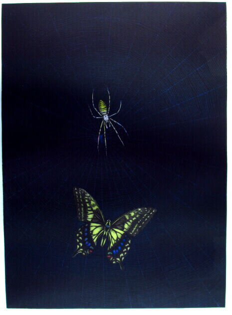 加山又造、蝶と鍬がた、希少画集画、新品額装、状態良好 加山又造「