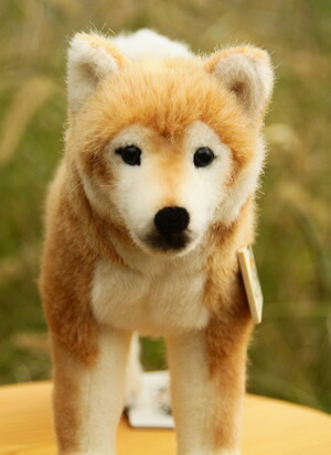 楽天市場】【在庫あり】Kosen ケーセン ドイツ製 ぬいぐるみ 柴犬