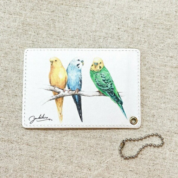 楽天市場】水彩画パスケース セキセイインコ ◇ゆうパケット対応