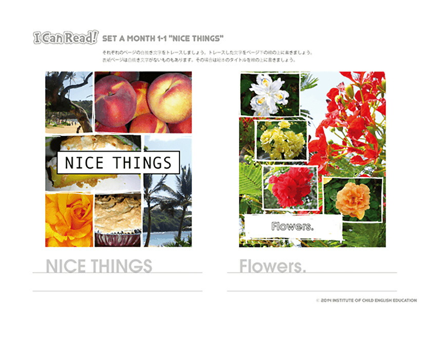 楽天市場】パルキッズプリスクーラーYEAR1・リーディングセット