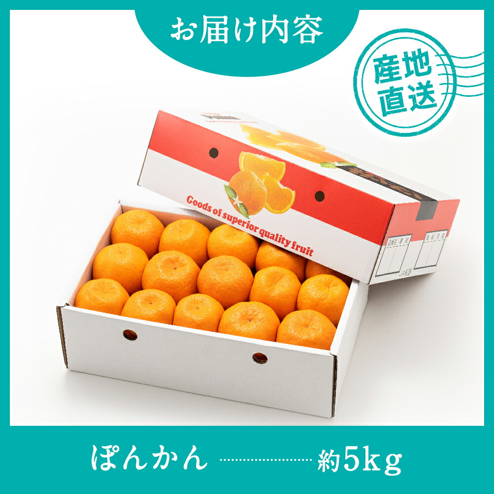 楽天市場】【ふるさと納税】ぽんかん（5kg程度）／2026年12月〜2027年1