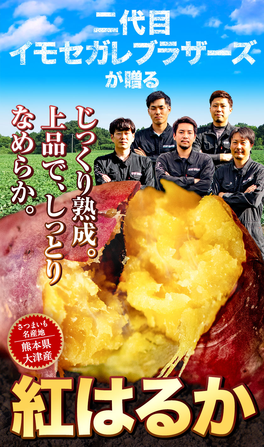 楽天市場】【ふるさと納税】熊本県大津町産 イモセガレブラザーズの紅