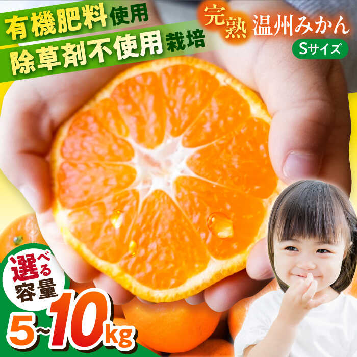 楽天市場】【ふるさと納税】【選べる容量！】温州みかん Sサイズ 約5kg
