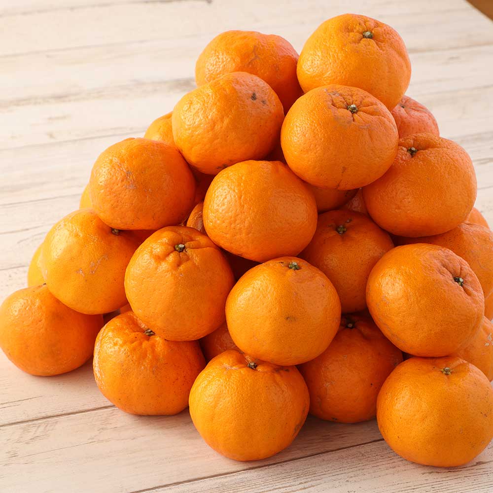 楽天市場】【ふるさと納税】 訳あり ぽんかん5kg 谷川果樹園 デコポン